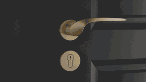 22.gif 22.gif
